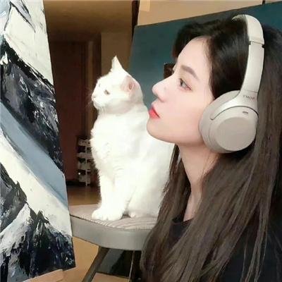 变成布鲁斯