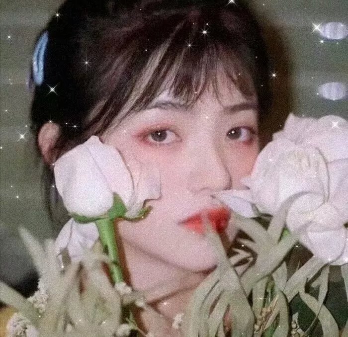 白蛇：缘起